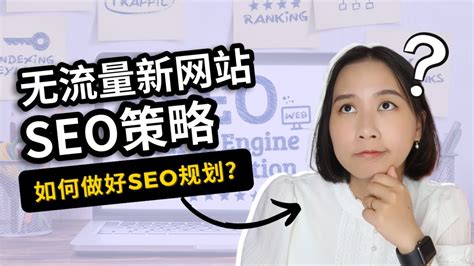 2024年7月新乡县网站SEO优化与软件开发综合方案